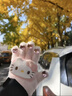 諄梧hellokitty手套女帶鉆可愛(ài)毛絨高顏值冬季保暖學(xué)生上班騎行手套 1雙裝【粉色鉆款】均碼 曬單實(shí)拍圖
