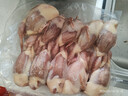 頤鄉情【JD/順豐速發(fā)】農家散養鵪鶉生鮮現殺鵪鶉肉新鮮冷凍雞寵物速凍 散養母鵪鶉凈約6斤/20只裝 曬單實(shí)拍圖