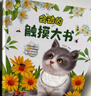 會(huì )動(dòng)的觸摸大書(shū)點(diǎn)讀版 0-2-3歲寶寶的第一本觸摸書(shū)小兔比利嬰幼兒童啟蒙認知英語(yǔ)早教益智地板亮麗精美繪本立體翻翻機關(guān)書(shū)小雞球球 【共16冊】會(huì )動(dòng)的觸摸大書(shū)+洞洞書(shū)+翻翻書(shū)+音頻卡 曬單實(shí)拍圖