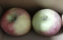 原產(chǎn)地新疆阿克蘇冰糖心蘋(píng)果現摘應季水果送禮 凈重8.5斤80mm-100mm 曬單實(shí)拍圖