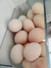 南步農家散養土雞蛋【現撿速發(fā)】新鮮雞蛋笨雞蛋草雞蛋正宗柴雞蛋初生 20枚裝 【單枚40-45g】約800g 曬單實(shí)拍圖