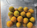 京覓廣西融安 第二代脆皮金桔 凈重3斤裝 單果12g+ 源頭直發(fā)包郵 曬單實(shí)拍圖