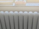 京悅暖家用暖氣片全屋采暖客廳臥室鋼制6030/銅鋁水暖散熱器 支持定制 曬單實(shí)拍圖