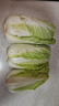 【冬儲菜】新鮮黃心娃娃菜霜打更甜大白菜火鍋必備早餐清炒 新鮮娃娃菜3斤 曬單實(shí)拍圖