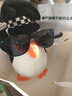 高雅人士企鵝玩偶搞怪抽象娃娃公仔女生生日禮物送閨蜜情人節新年 舉牌子企鵝【送帽子+墨鏡+牌子】+定制牌子內容 整體高度約26cm 曬單實(shí)拍圖