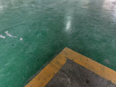 斯拜爾環(huán)氧樹(shù)脂地坪漆水泥地面漆耐磨界面劑罩面漆地板漆工廠(chǎng)車(chē)庫工程漆 墨綠色 20KG約刷50平方2遍 曬單實(shí)拍圖