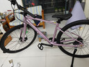 喜德盛（xds）平把公路自行車(chē)新款極速600/600PRO油壓碟剎 木槿紫（極速600） 700c*420 曬單實(shí)拍圖