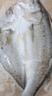 仙泉湖三去白蕉海鱸魚(yú)1斤/條凈膛冷凍刺少肉厚珠海特產(chǎn)500g生鮮年貨食材 曬單實(shí)拍圖