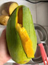 顧果鮮越南大青芒當季新鮮孕婦水果生吃脆甜心大芒果青皮金煌芒生鮮整箱 5斤 甄選大果【單果300g+】 曬單實(shí)拍圖