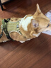 COCS狗胸背帶中大型犬背心式牽引繩防沖爆拉布拉多金毛柴犬邊牧遛狗繩 卡其狗胸背帶1個(gè)-1.5米狗繩1根 L-(胸圍54-71cm  建議28-45斤） 曬單實(shí)拍圖
