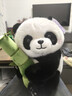 呆萌新款創(chuàng  )意抱竹子熊貓玩偶卡通毛絨玩具安撫睡覺(jué)抱枕禮物擺件 抱竹子熊貓 35厘米【優(yōu)質(zhì)毛絨】 曬單實(shí)拍圖