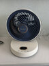 艾美特（AIRMATE）空氣循環(huán)扇桌面電風(fēng)扇臺式家用辦公室宿舍床上小直流節能享輕音插電充戶(hù)外露營(yíng)風(fēng)扇丨風(fēng)扇踏青放價(jià) 可接充電寶丨9h遙控定時(shí)丨8檔直流降噪 曬單實(shí)拍圖