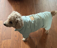 DADAGOU秋冬季泰迪比熊加厚保暖四腳棉服小狗狗衣服小型犬棉襖成幼犬防風(fēng) 【休閑四腳棉衣】綠色 XXL【12-18斤/背長(cháng)40胸圍52cm】 曬單實(shí)拍圖
