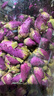 同仁堂品牌 北京同仁堂玫瑰花80g 玫瑰花干玫瑰花茶泡水可搭菊花 養生茶 曬單實(shí)拍圖