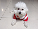 嬉皮狗狗狗衣服冬季保暖新年款冬裝滿(mǎn)印款唐裝小型犬寵物小狗衣服 L碼 曬單實(shí)拍圖