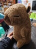 吉品帝卡皮巴拉公仔超大號毛絨玩具水豚玩偶生日禮物送女生情人節 烏龜水豚 40cm 曬單實(shí)拍圖