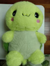達令兔可愛(ài)烏龜公仔毛絨玩具生日禮物女生兒童高級感小眾陪睡布娃娃玩偶 綠色 小號30厘米 曬單實(shí)拍圖
