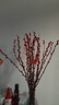 銀柳真花鮮枝干花擺件室內客廳鮮花綠植新年年宵花卉植物過(guò)年春節 60厘米【10支】送掛件 曬單實(shí)拍圖