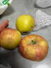 阿克蘇蘋(píng)果新疆阿克蘇冰糖心蘋(píng)果 當季應季新鮮時(shí)令水果整箱紅富士丑蘋(píng)果 5斤【精品果】單果75-85mm 凈重4.5斤 曬單實(shí)拍圖