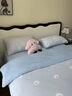 紅豆家紡秋冬季牛奶絨四件套加厚被套床單珊瑚絨被罩床笠學(xué)生宿舍三件套 絨絨小狗藍 1.8m 床單款 四件套-被套180*220cm 曬單實(shí)拍圖