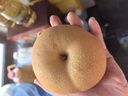 京鮮生 長(cháng)城羊脂秋月梨 正宗大果 凈重5斤 6-8粒 生鮮水果禮盒 曬單實(shí)拍圖