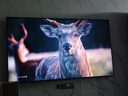 海信電視E7Q 85英寸 信芯芯片H6超頻版 黑曜屏Pro XDR5200nits 3500分區 國家補貼 世界杯電視85E7Q 曬單實(shí)拍圖