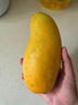 余悅海南金煌芒 新鮮現摘水仙大芒果當季青皮甜心芒水果送禮 5斤裝-果小嘗鮮丨單果170-200g 凈4.5斤 曬單實(shí)拍圖