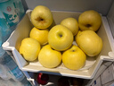 京橙美錦遼寧黃元帥蘋(píng)果新鮮水果當季粉面老人寶寶刮泥黃金帥黃香蕉蘋(píng)果 帶箱9.5-10斤大果(單果80-85mm) 曬單實(shí)拍圖