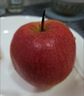 傾睦北京平谷紅肖梨 老品種可煮水紅梨脆甜梨紅梨沙梨紅消梨新鮮水果 5斤 精選大果【單果145g+】 曬單實(shí)拍圖