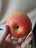 傾睦北京平谷紅肖梨 老品種可煮水紅梨脆甜梨紅梨沙梨紅消梨新鮮水果 3斤 精選大果【單果145g+】 曬單實(shí)拍圖