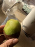正宗陜西徐香獼猴桃30枚當季現摘新鮮水果爆甜多汁綠心奇異果整箱 24枚大果【單果80-100g】 曬單實(shí)拍圖