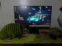 AMZFAST 24.5英寸 2K 280Hz電競顯示器 HDR400硬件低藍光 450nit FastIPS 三角洲游戲電腦屏幕 迅龍G25F6B 曬單實(shí)拍圖
