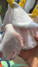 babycare新生嬰兒口水巾寶寶吃飯純棉防水圍嘴新生兒防吐奶紗布瞬吸圍兜 【吸量Max不濕衣】夢(mèng)游小兔（3條裝） 曬單實(shí)拍圖