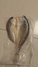 鮮京采寧德黃魚(yú)鲞4條/2斤(單條235-255g)三去處理魚(yú)類(lèi) 地標 源頭直發(fā) 曬單實(shí)拍圖