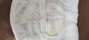 五羊（FIVERAMS）薄薄芯小輕風(fēng)系列干爽柔軟超薄透氣冬季男女寶寶學(xué)步褲便攜試用 拉拉褲XXXL碼30片 曬單實(shí)拍圖