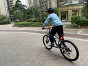 喜德盛（xds）山地自行車(chē)26款旭日310運動(dòng)健身學(xué)生青少年成人單車(chē)騎行 26款旭日310巖石灰15.5寸 曬單實(shí)拍圖