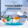 智宙魚(yú)缸生態(tài)缸中小圓形玻璃魚(yú)缸加厚斗魚(yú)缸金魚(yú)缸懶人客廳桌面魚(yú)缸 30*22*14cm玻璃魚(yú)缸 曬單實(shí)拍圖