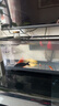 中國紅冷水淡水觀(guān)賞魚(yú)錦鯉魚(yú)活魚(yú)金魚(yú)小型好養紅鯉魚(yú)純種小錦鯉 10-12cm長(cháng)黑白黃紅各一條 曬單實(shí)拍圖