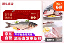 查干湖魚(yú)現貨【京東生鮮 年貨禮盒】冬捕有機胖頭魚(yú)5.5-6.4斤 年年有余 曬單實(shí)拍圖