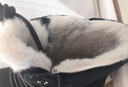 駱駝牌 雪地靴戶(hù)外加厚加絨保暖棉鞋男靴P15W201012 黑色 43 曬單實(shí)拍圖