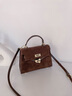 C.BANNER包包女包秋冬新款上檔次輕奢手提包時(shí)尚氣質(zhì)百搭復古風(fēng)斜挎凱莉包 咖啡色 常規 曬單實(shí)拍圖