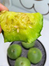 鮮聞果山東綠寶甜瓜 新鮮綠寶石當季時(shí)令香甜清脆甜瓜整箱禮盒送禮 3斤嘗鮮裝【無(wú)禮盒】 曬單實(shí)拍圖