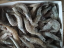 萬(wàn)景北海鮮凍白蝦 國產(chǎn)白蝦 單凍無(wú)冰凈重4斤 100-120只 聚餐年貨 曬單實(shí)拍圖