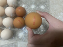 谷物喂養鮮蛋放養初生蛋55g禮盒6枚裝非可生食曉鳴鮮雞蛋順豐包郵 【體驗裝】非籠養零籠蛋6枚 曬單實(shí)拍圖