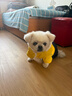 憨憨寵寵物狗狗衣服 狗衣服中小型犬泰迪衣服冬季加絨加厚背帶褲貓衣服 黃色背帶褲XL號推薦13-16斤寵物 曬單實(shí)拍圖