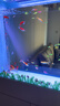 新概念魚(yú)缸客廳帶柜子辦公室組合一體式自循環(huán)免換水生態(tài)玻璃底濾水族箱 單缸體定制（根據實(shí)際需要的尺寸定價(jià)） 曬單實(shí)拍圖