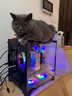 逆昂海景房13代酷睿i7/RTX4060獨顯辦公游戲家用設計師組裝吃雞臺式機電腦主機360水冷整機全套 主機+27英寸顯示器 套六：13代酷睿i7丨32G+2TB丨4060 曬單實(shí)拍圖