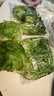 槿饈苦葉生菜250g-2500g新鮮蔬菜苦菊苦細葉沙拉食材狗牙菜苦苣 2斤裝 曬單實(shí)拍圖