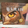 貓頭鷹王國（套裝15冊，隨書(shū)贈送筆記本和文件袋）媲美哈利波特 馬愛(ài)農譯 課外閱讀 閱讀 課外書(shū) 曬單實(shí)拍圖