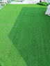 清雅仿真草坪地毯假草皮鋪墊塑料戶(hù)外人造球場(chǎng)人工圍擋幼兒園綠色地墊 2厘米全新升級12針加密加厚A級款 (4米寬1米長(cháng))4平方（最長(cháng)25m需要多長(cháng)拍幾件） 曬單實(shí)拍圖